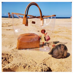 Regular Ren Shopping in Milan Deluxe Clear Tote